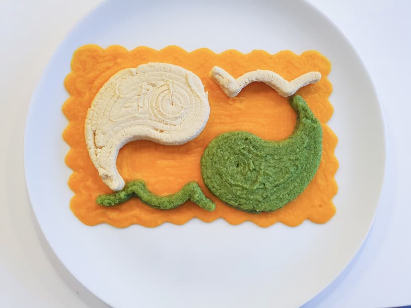 Texture-modified chicken dish