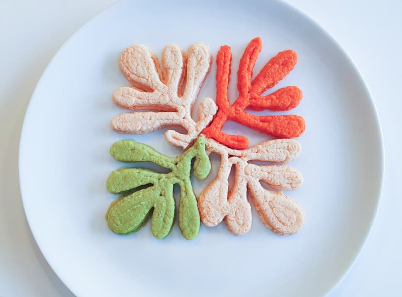 Texture-modified salmon dish